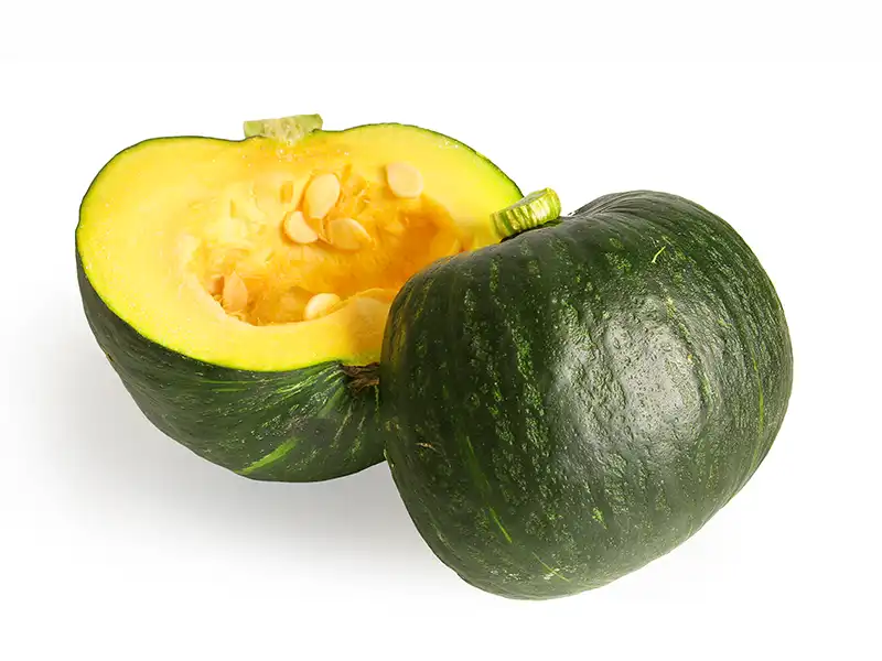 Squash Table Gem Bush Vegetable Seeds