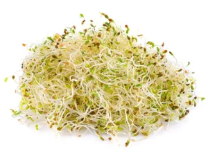 Red Clover Sprouting Seeds | Seedmart