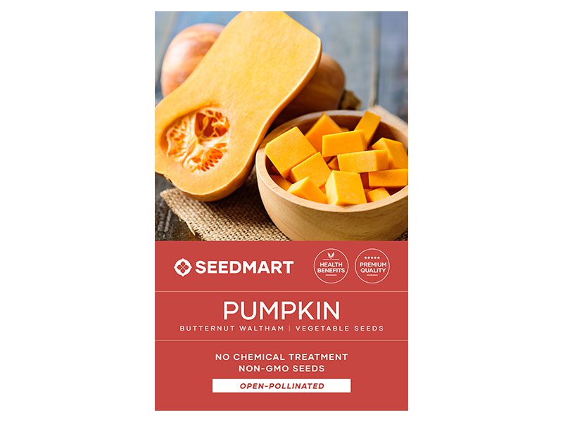 Pumpkin Butternut Waltham Vegetable Seeds | Seedmart