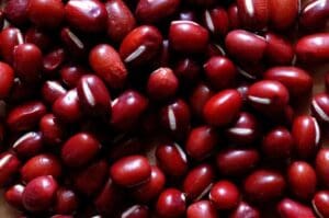 Adzuki Sprouting Seeds - Wholesome Supplies