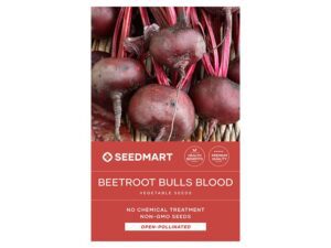 Beetroot Bull's Blood Seeds | Seedmart