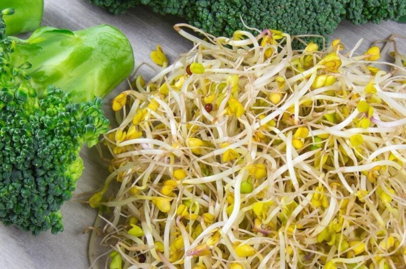 Broccoli Sprouts Made Easy: Fast-Growing Greens with a Punch – Seedmart ...