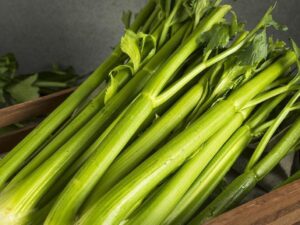 Celery Stalks