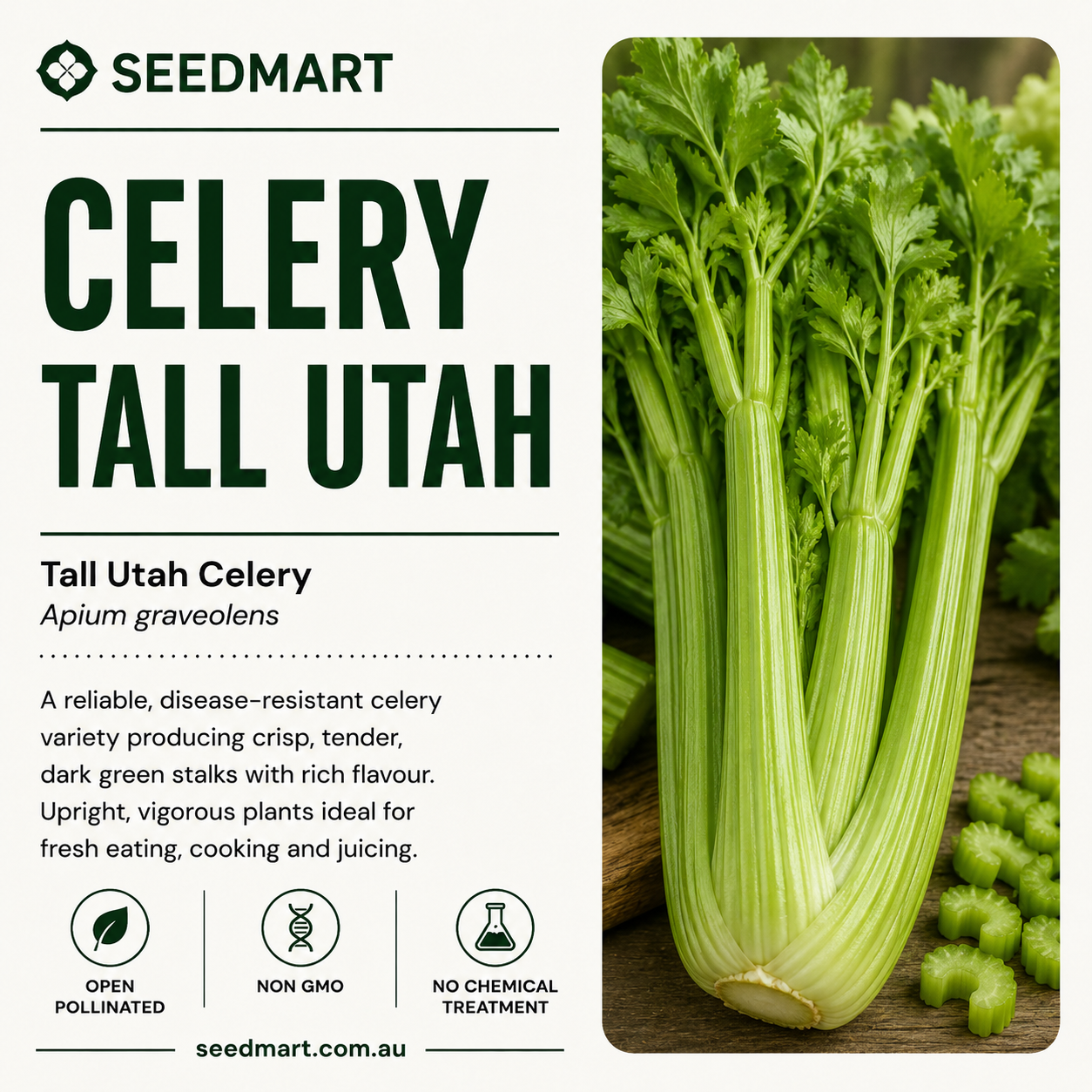 celery-tall-utah-seedmart-australia-1