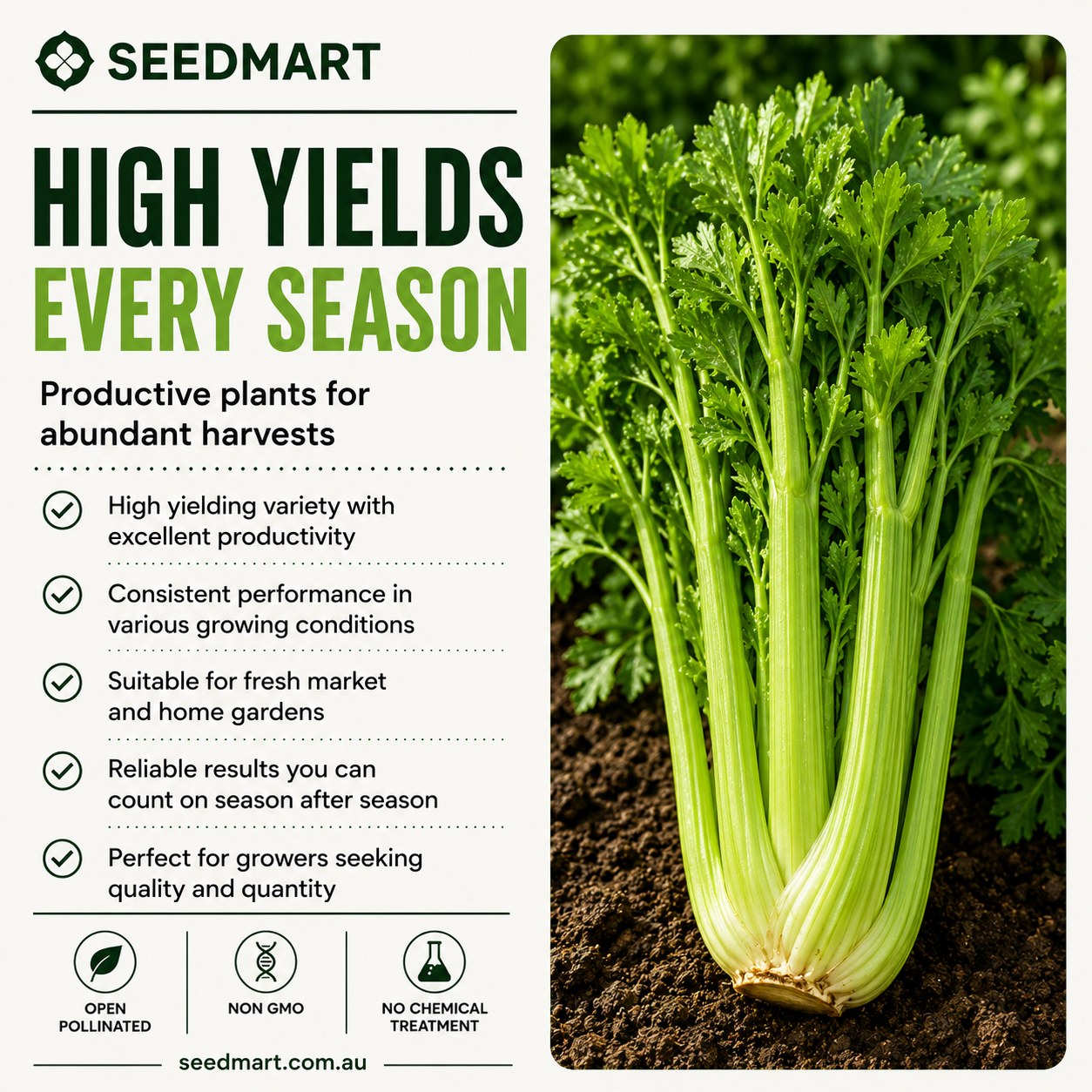 celery-tall-yields-utah-seedmart-australia