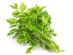 Chervil Herb Close Up