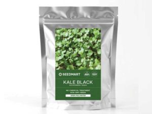 Kale Black Microgreens Packet | Seedmart Australia