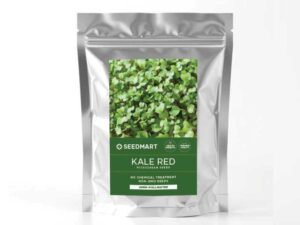 Kale Red Russian Microgreens Packet | Seedmart Australia