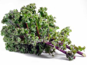 Kale Red Russian Vegetable Seeds | Seedmart