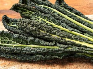 Kale Toscana
