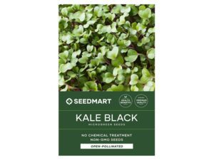 Kale Black Microgreen Seeds