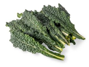 Kale Black Toscana Vegetable Seeds | Seedmart Australia