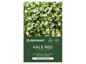 Kale Red Russian Microgreen Seeds