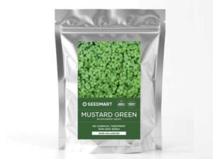 Mustard Green Microgreens Packet | Seedmart Australia