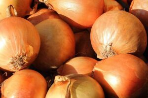 Onion Parma Yellow Globe Seeds - Wholesome Supplies