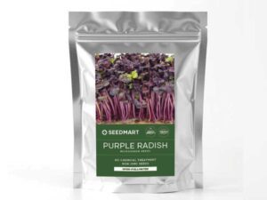 Purple Radish Microgreen Seeds | Foil Packet | Seedmart Australia