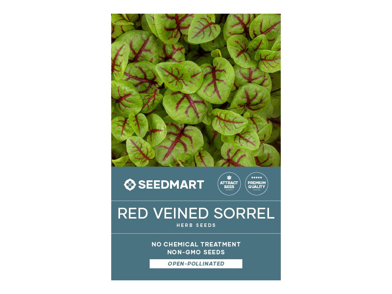 Red Veined Sorrel Herb Seed Envelope | Seedmart Australia