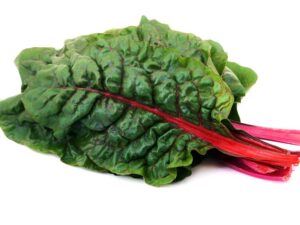 Ruby Red Chard Isolated