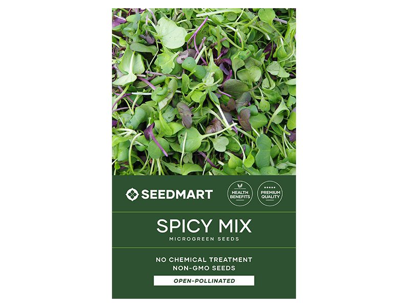 Spicy Mix Microgreen Seeds