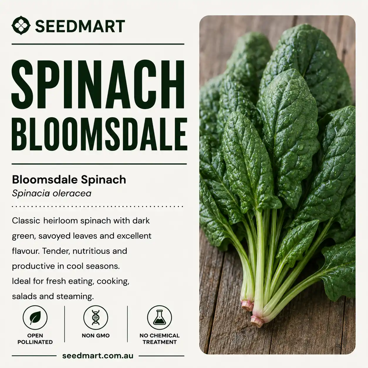 spinach-bloomsdale-seeds-seedmart-australia-1