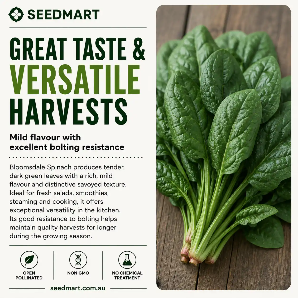 spinach-bloomsdale-seeds-taste-harvest-seedmart-australia