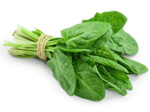 Spinach Bloomsdale Vegetable Seeds | Seedmart Australia