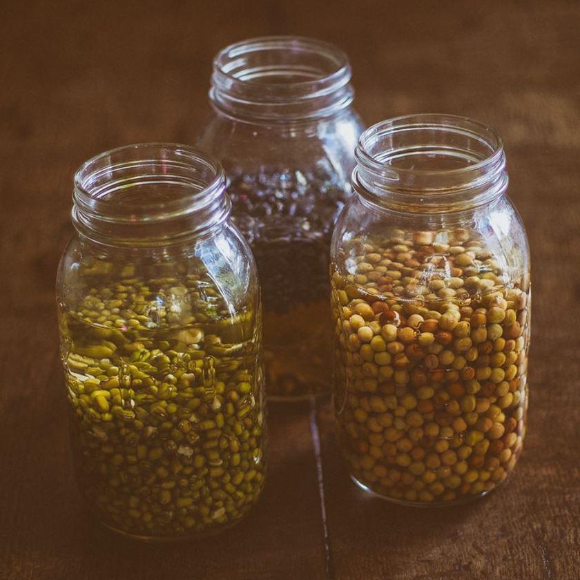 Sprouting jars filled with pulses, mung beans and water