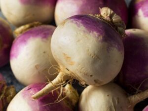 Turnip Purple Top