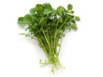 Watercress Herb Seeds