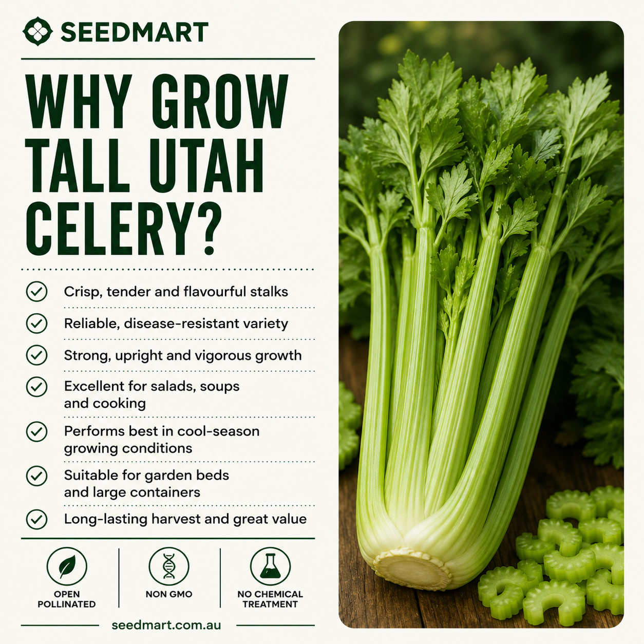 why-grow-celery-tall-utah-seedmart-australia