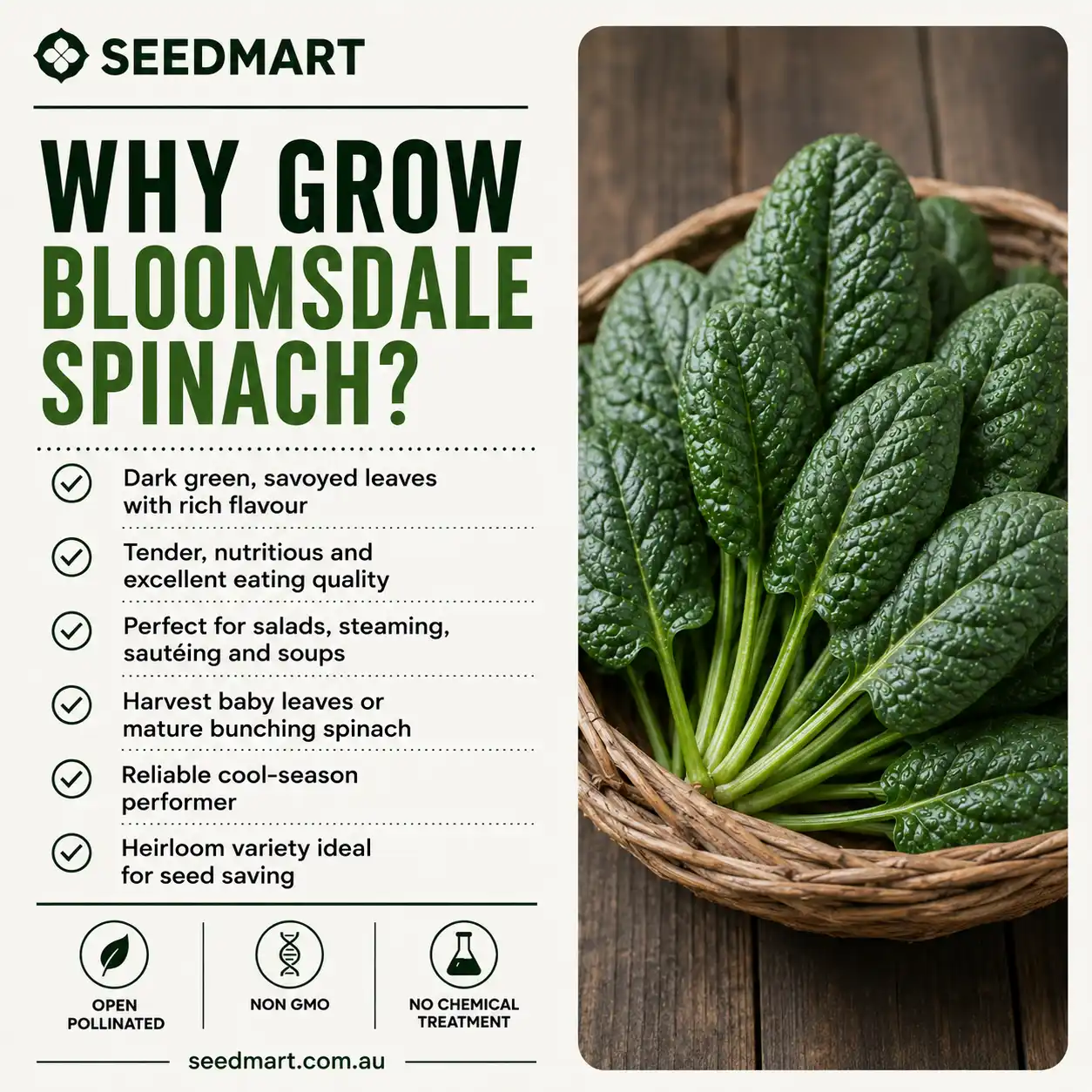 why-grow-spinach-bloomsdale-seeds-seedmart-australia