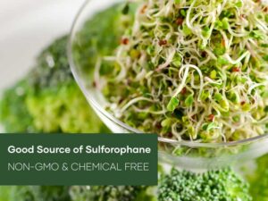 Broccoli Sprouting Seeds | Product Photo | Seedmart Australia