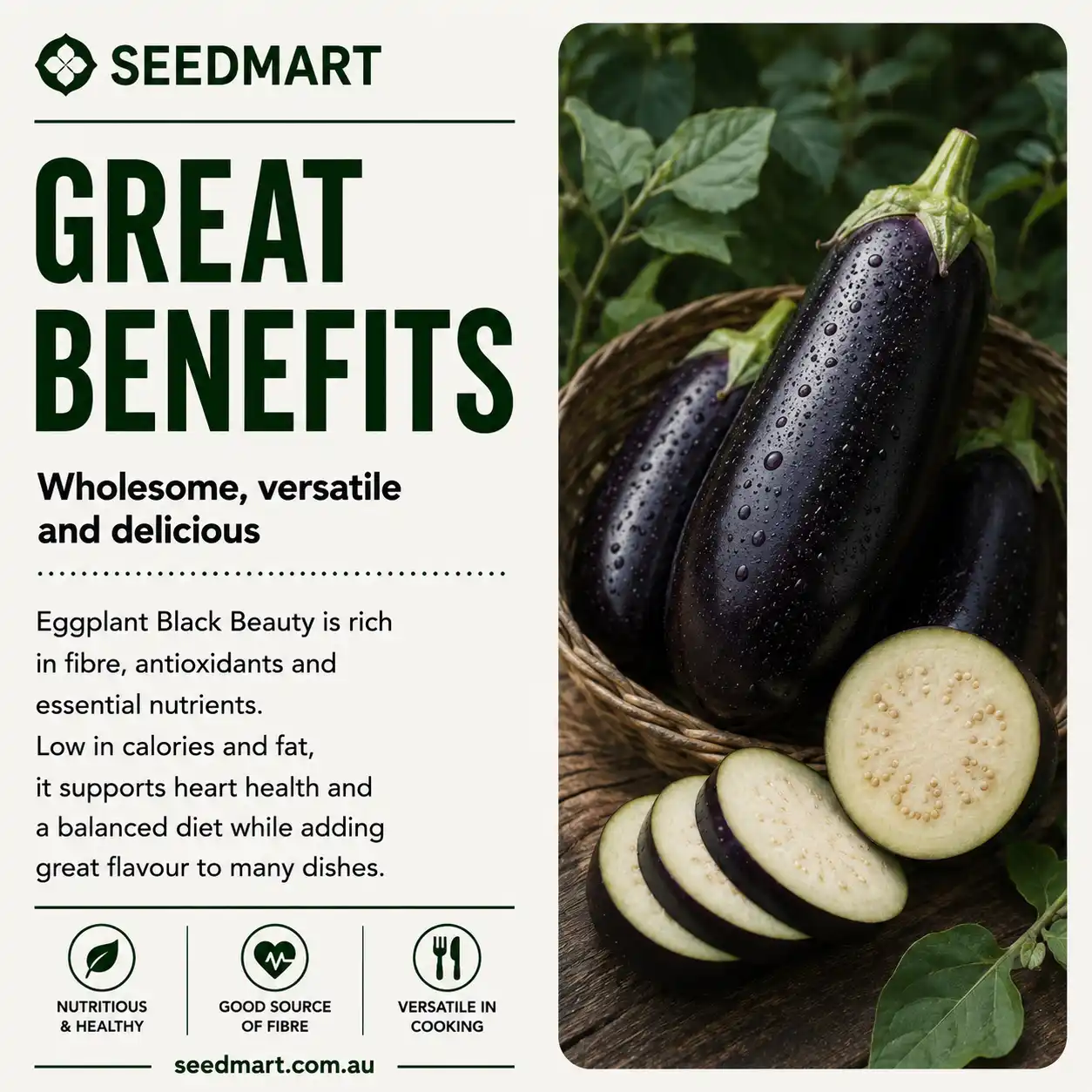 eggplant-black-beauty-benefits-seedmart-australia