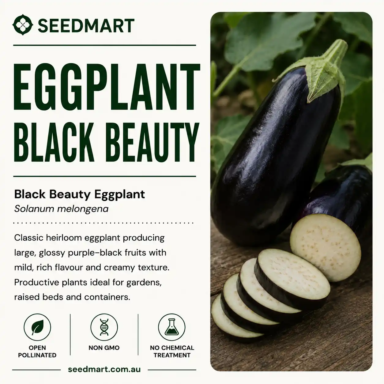 eggplant-black-beauty-seedmart-australia-1