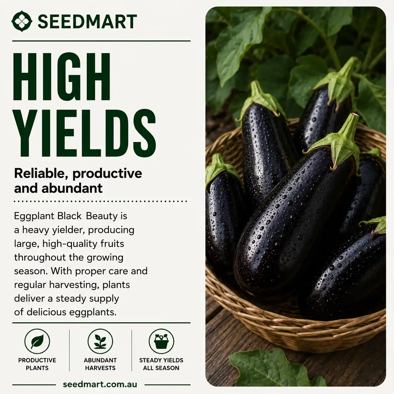Seedmart advertisement promoting high yields, showing a basket of glossy eggplants beside bold text about reliable, productive and abundant harvests.