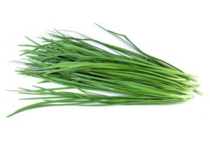 Garlic Chives Herb Isolated