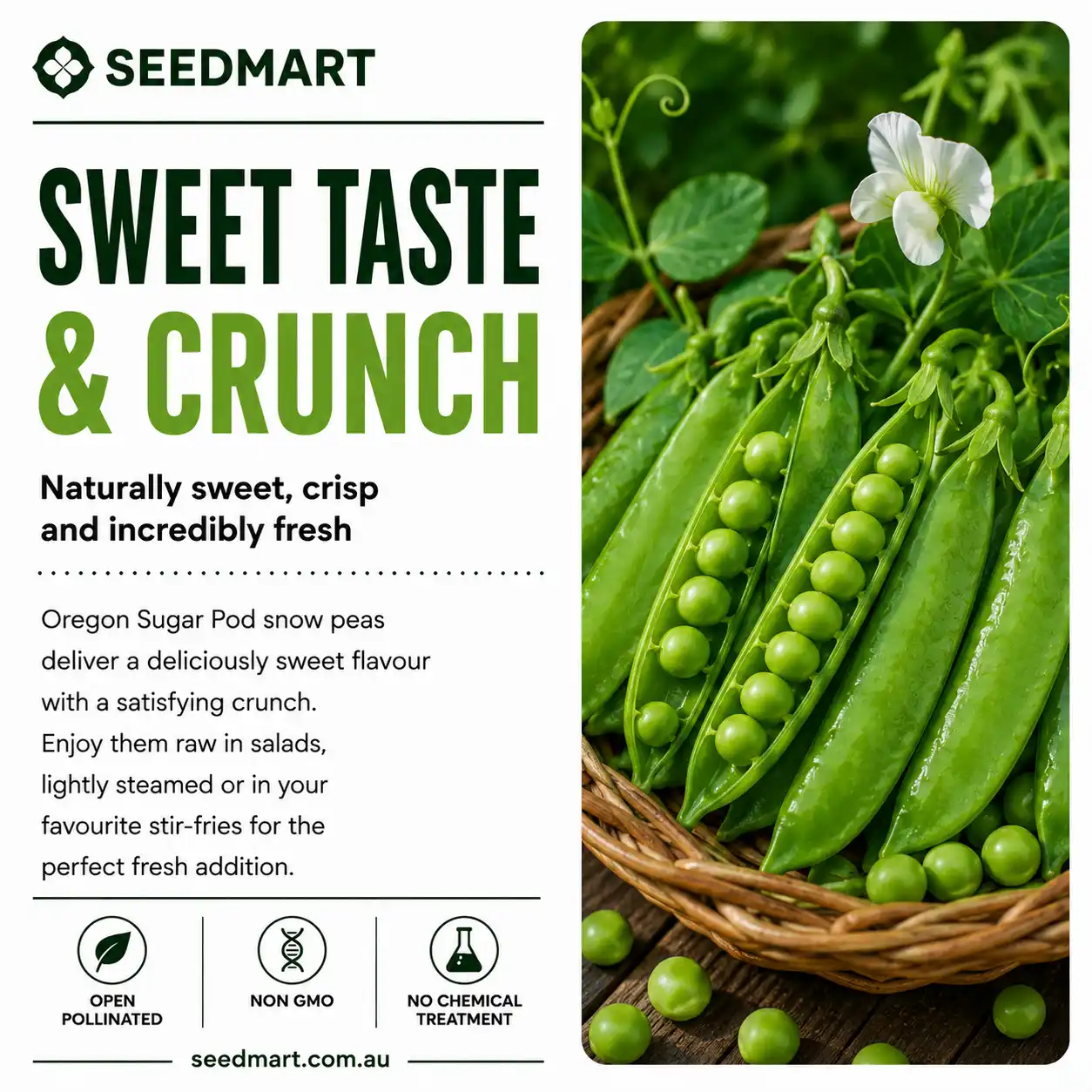 snow-pea-oregon-seeds-taste-seedmart-australia
