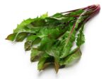 red dandelion, italiko rosse, italian leaf chicory