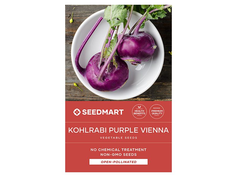 Kohlrabi Purple Vienna Seeds | Seedmart