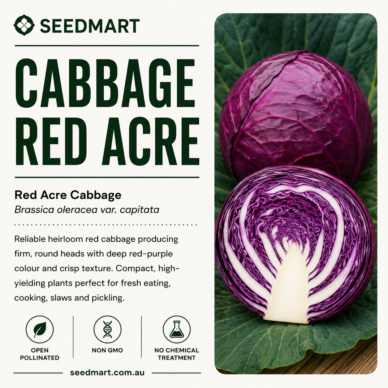 cabbage-red-acre-seeds-seedmart-australia-1