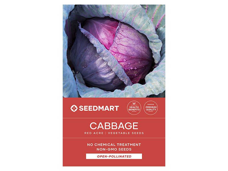 Cabbage Red Acre Vegetable Seeds | Seedmart