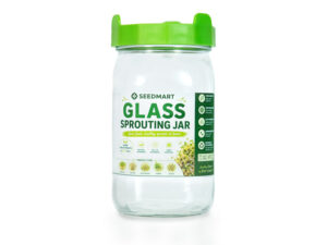 Glass Sprouting Jar | Australia | Seedmart Australia