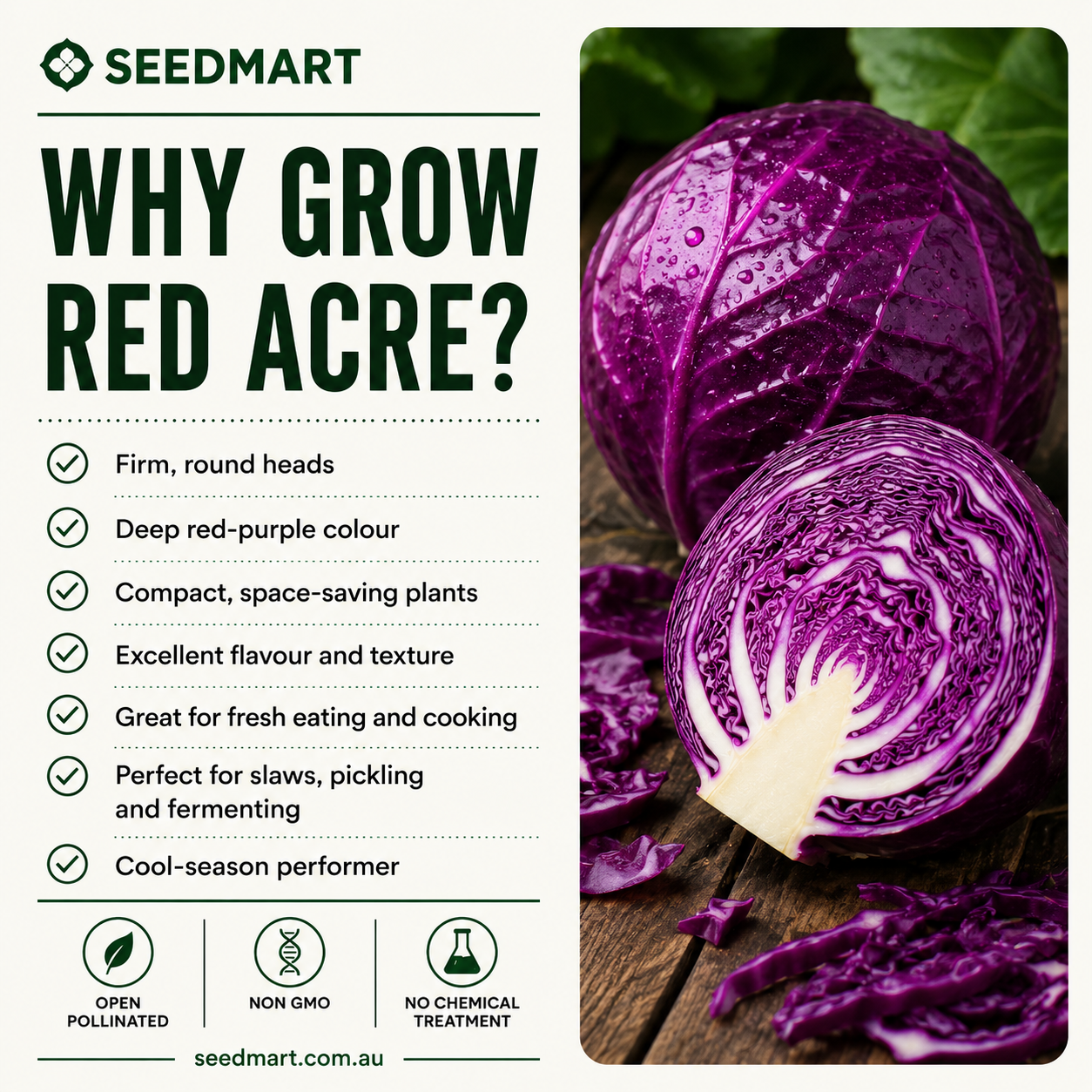 why-grow-cabbage-red-acre-seedmart