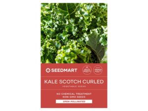 Vates Blue Scotch Curled Kale Seeds | Seedmart