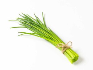 Chives Herb Isolated