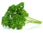 Parsley Curled Herb Seed Packet | Seedmart Australia