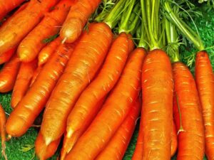 Carrot Nantes
