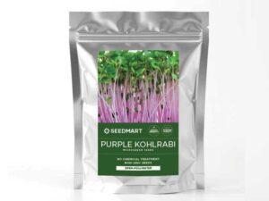 Purple Kohlrabi Microgreen Seeds | Seedmart Australia