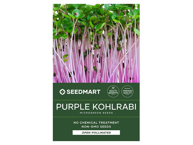 Purple Kohlrabi Microgreen Seeds