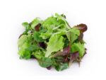 Mesclun_Salad_green_Mix